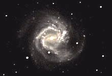 Galaxie M 61